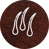 Host Clínica - Dermatologia